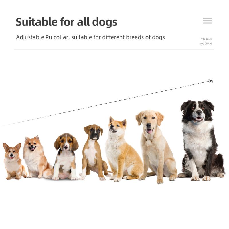 Nový 800m IP7 Vodotěsný Výcvikový Obojek Pro Psy s Dálkovým Ovládáním – EFEKTIVNÍ Trénink Vibracemi, Dobíjecí!