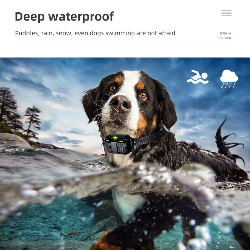 Nový 800m IP7 Vodotěsný Výcvikový Obojek Pro Psy s Dálkovým Ovládáním – EFEKTIVNÍ Trénink Vibracemi, Dobíjecí!