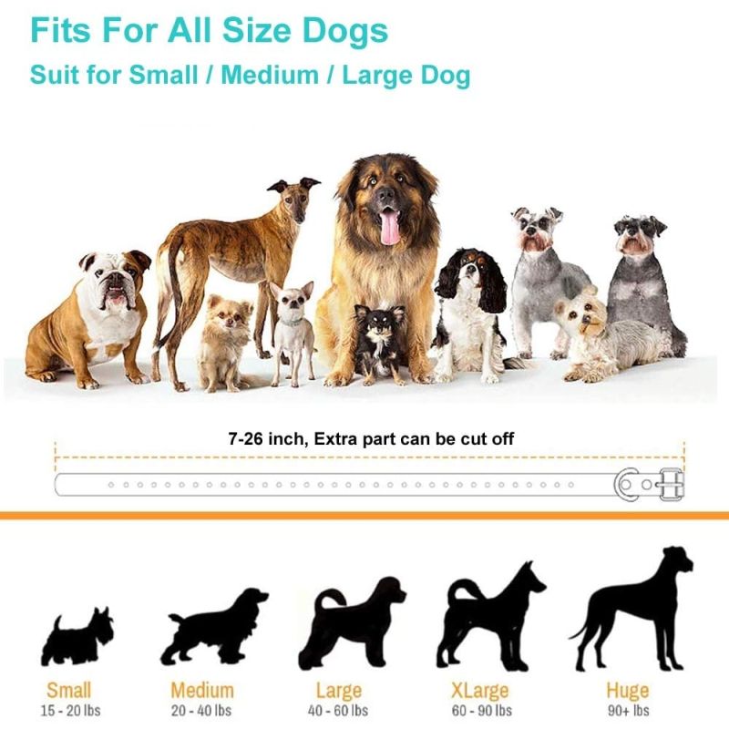 Elektrický výcvikový obojek pro psy 800m dosah | IP67 Vodotěsný obojek s tónem, vibrací | Malé a střední psy