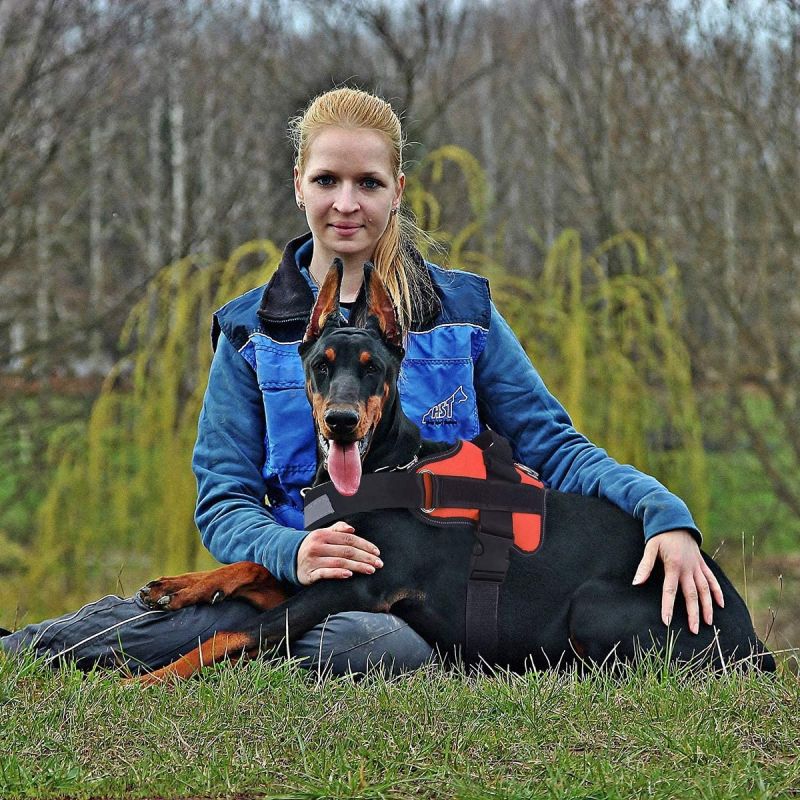 **Psí Postroj No-Pull Reflexní Vesta | Nastavitelná pro Střední Plemena | Bezpečnost & Pohodlí | Venkovní Vybavení pro Psy**