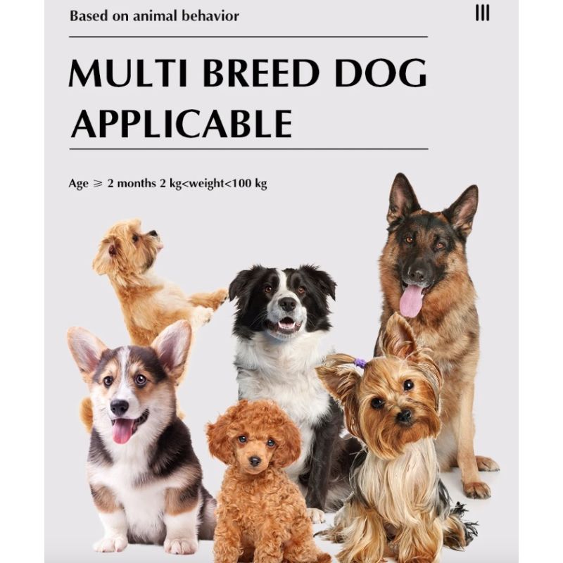 Chytrý 2v1 Bezdrátový ohradník pro psy a Vzdálený výcvikový obojek – Zabezpečení & Výcvik štěňat