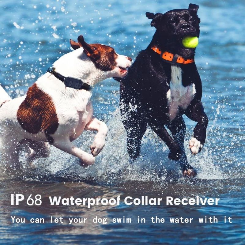 2020 Nový Elektrický Výcvikový Obojek pro Psy 1000m Vodotěsný s LCD Displejem, Dobíjecí pro Všechny Velikosti