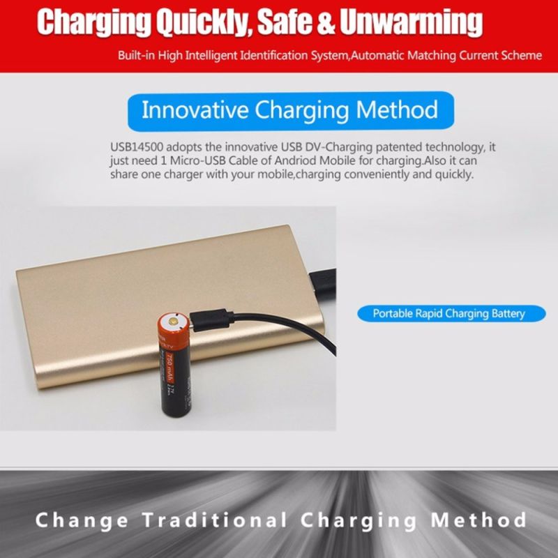 Doublepow 14500 750mAh 3.7V Li-ion Baterie | USB Dobíjecí LED Indikátor | Pro kempování a zařízení