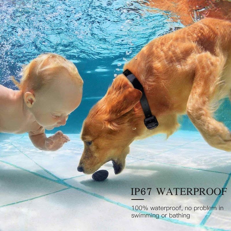 800m Elektrický Vodotěsný Obojek pro Psy s LCD Dálkovým Ovládáním – Bezpečný Trénink pro Všechny Velikosti