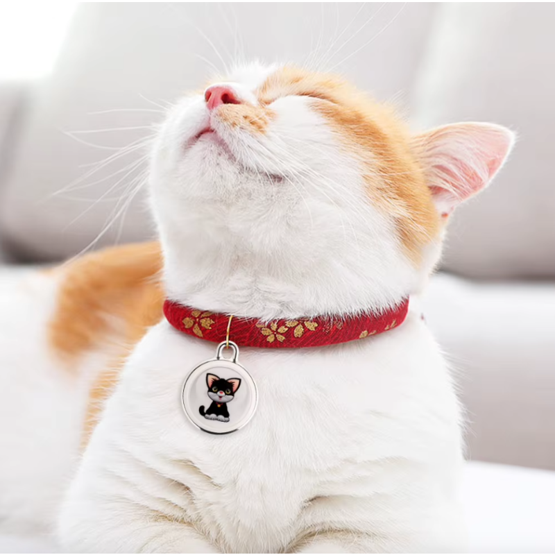 Chytrý Dog Tracker | GPS Psí Obojek AirTag | Sledování mazlíčků v reálném čase | Bezpečnost vašeho psa