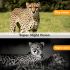 HC801M Trail Wildlife Kamera 20MP 1080p Noční Vidění Mobilní Lovecké Kamery pro Pozorování Přírody a SMS