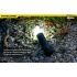 Nitecore LA10 mini EDC svítilna 135 lumenů kompaktní a praktická kempingová svítilna otočný design Nichia LED