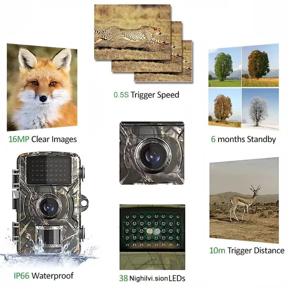 **Odolná Venkovní Infračervená Kamera pro Wildlife Foto & Bezpečnost – 940nm Noční Vidění & Pohybem Aktivovaná**