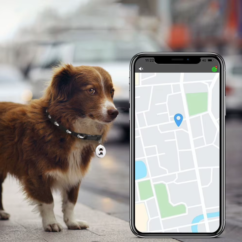 Chytrý Dog Tracker | GPS Psí Obojek AirTag | Sledování mazlíčků v reálném čase | Bezpečnost vašeho psa