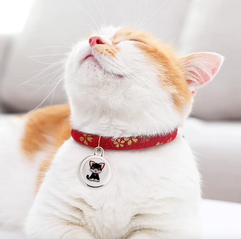 Chytrý Dog Tracker | GPS Psí Obojek AirTag | Sledování mazlíčků v reálném čase | Bezpečnost vašeho psa