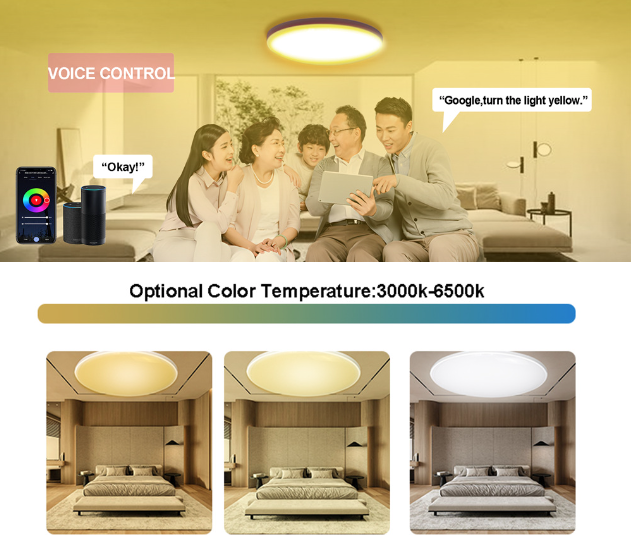24W Tuya Zigbee Wifi chytré stropní světlo RGBCW s hlasovým ovládáním Alexa pro obývací pokoj