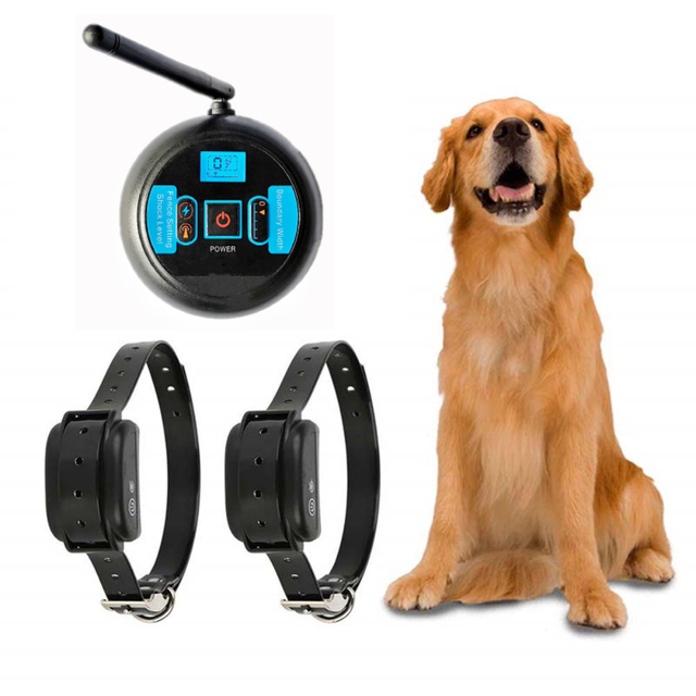 For 2 Dog